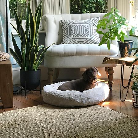 Dawn And Dudley The Sausage Dog'S Parkside Home London Exterior photo